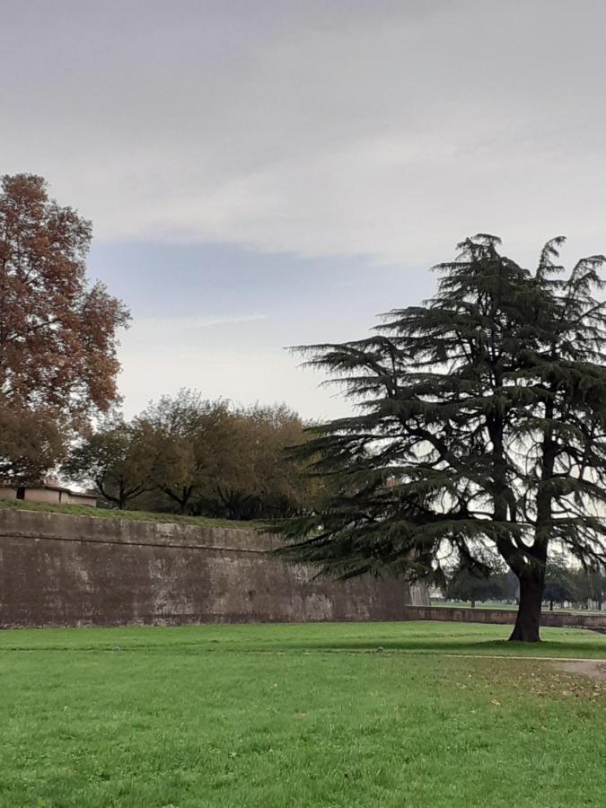 Dimora Altemura Lucca Exterior photo